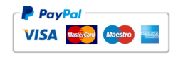 logo brand payment paypal
