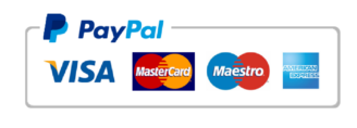 logo brand payment paypal